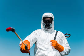 Best Termite Inspection and Treatment  in Centreville, AL